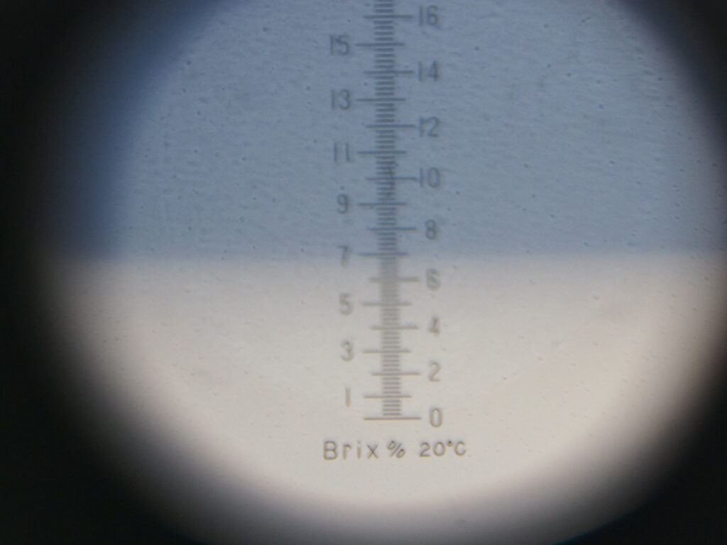 木熟した南高梅の糖度を示した画像